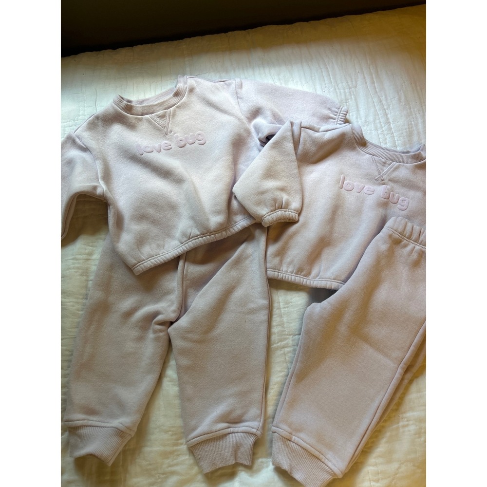 Cloud Island Twin Baby Girls Lavender Love Bug Sweatshirt Jogger Sets 6-9 Months